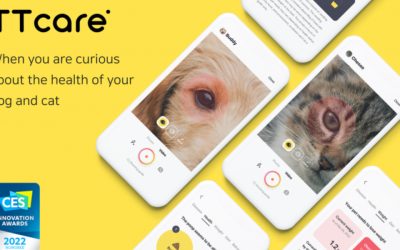 AIfor pet TTcare: l’intelligenza artificiale al servizio del tuo cane e gatto