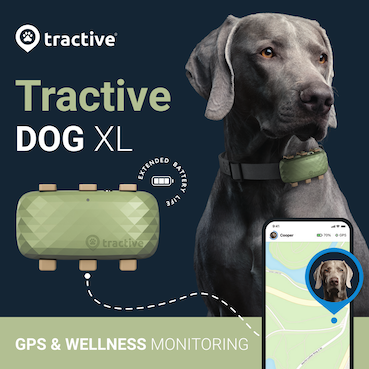 Tractive gps dog