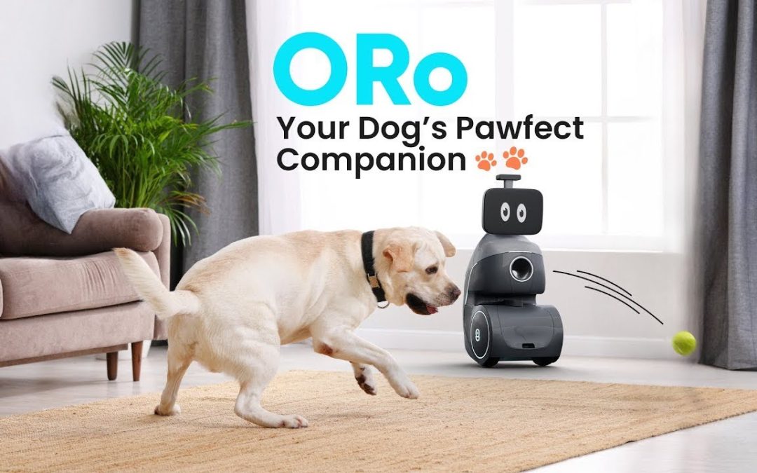 Oro di Ogmen Robotics Inc.: Il compagno perfetto per il tuo cane