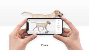 TTcare, - AI For Pet