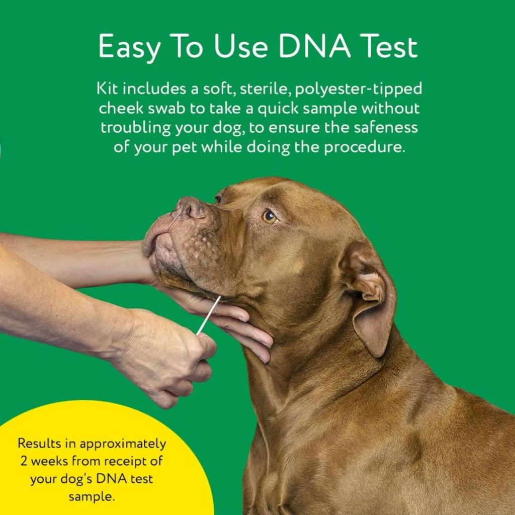 DNA MY DOG