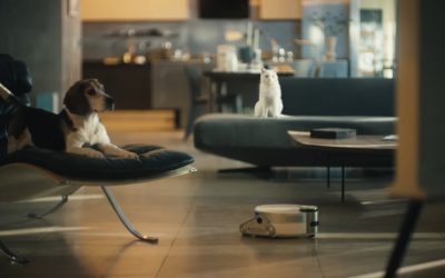 Samsung delinea le nuove frontiere del pet lifestyle: l’indagine sulla vita degli animali domestici
